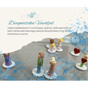 Diagnostika veeväljal pildiga.png
